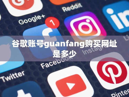 谷歌账号guanfang购买网址是多少