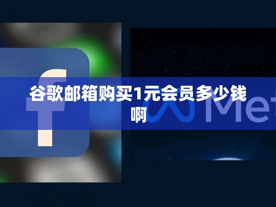 谷歌邮箱购买1元会员多少钱啊