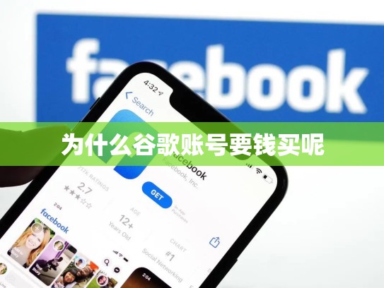 为什么谷歌账号要钱买呢