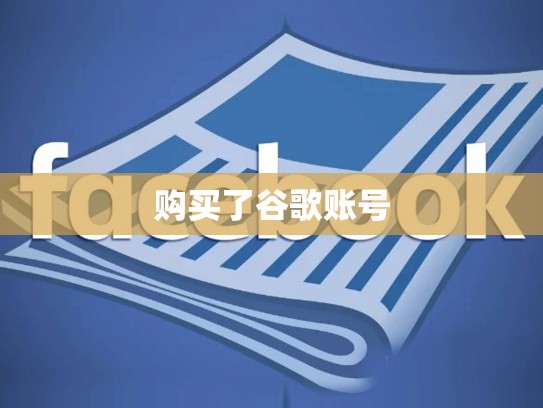 购买了谷歌账号