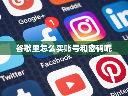 谷歌里怎么买账号和密码呢