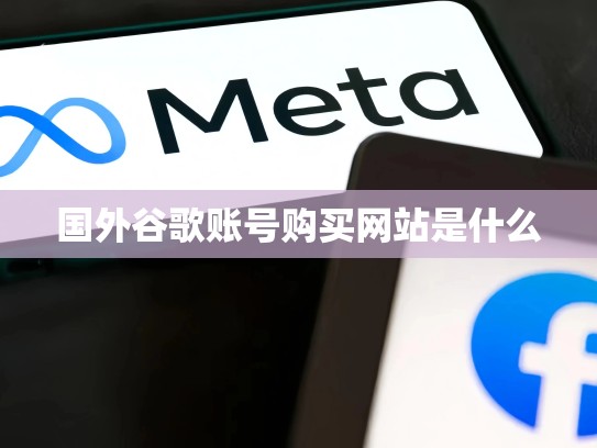 国外谷歌账号购买网站是什么