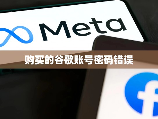购买的谷歌账号密码错误