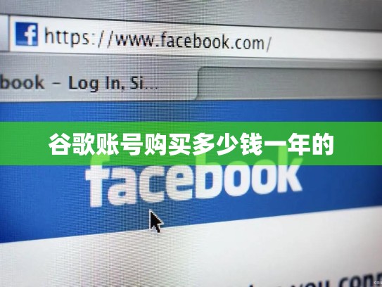 谷歌账号购买多少钱一年的