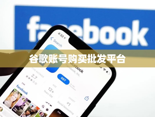 谷歌账号购买批发平台