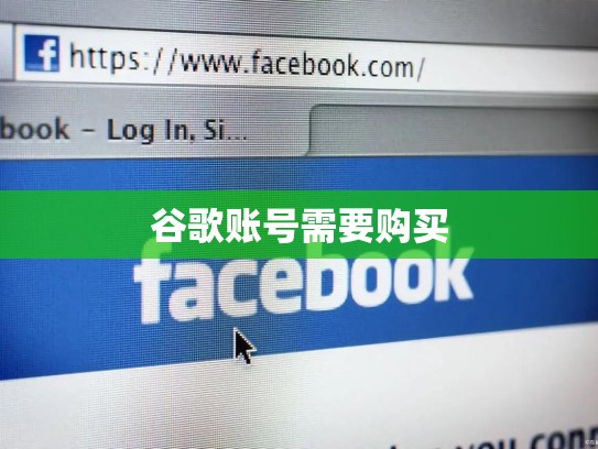 谷歌账号需要购买