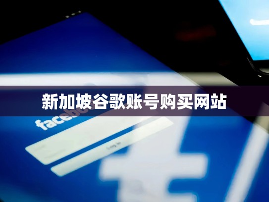 新加坡谷歌账号购买网站