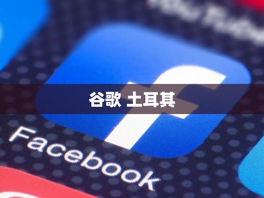 谷歌 土耳其