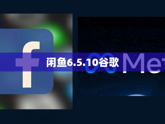 闲鱼6.5.10谷歌
