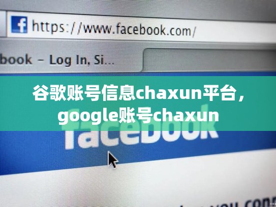 谷歌账号信息chaxun平台，google账号chaxun