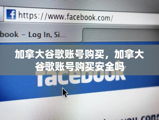 加拿大谷歌账号购买，加拿大谷歌账号购买安全吗