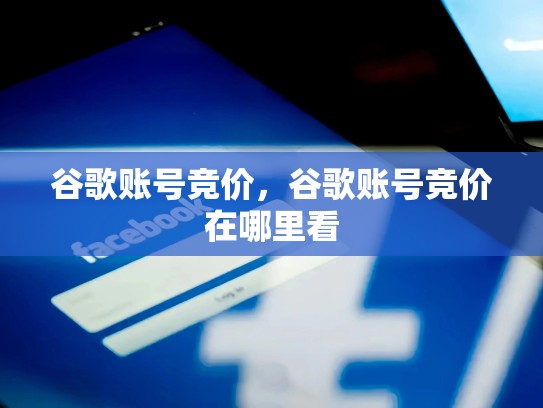 谷歌账号竞价，谷歌账号竞价在哪里看