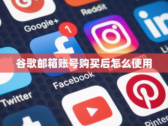 谷歌邮箱账号购买后怎么使用