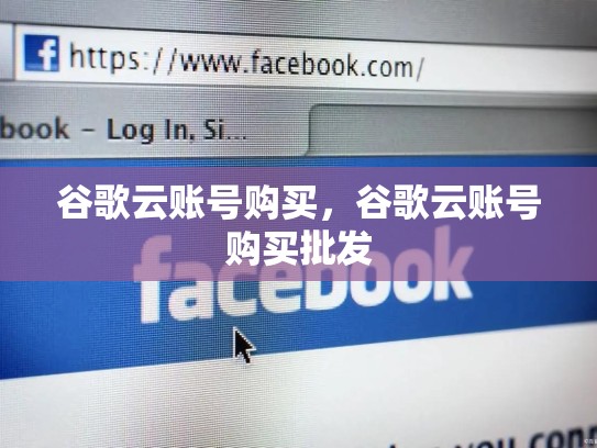 谷歌云账号购买，谷歌云账号购买批发