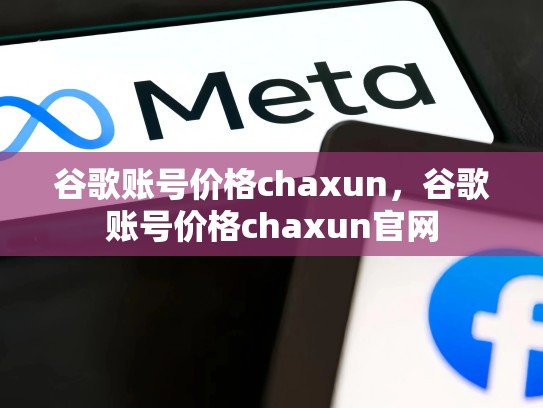 谷歌账号价格chaxun，谷歌账号价格chaxun官网