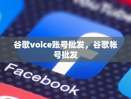谷歌voice账号批发,谷歌帐号批发