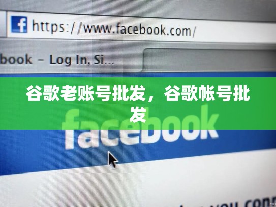 谷歌老账号批发，谷歌帐号批发