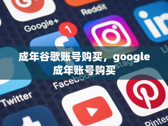 成年谷歌账号购买,google成年账号购买