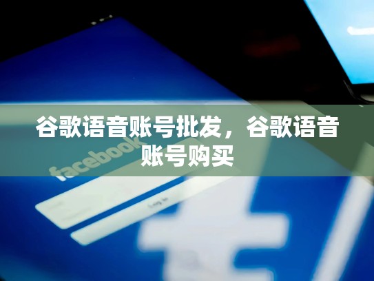 谷歌语音账号批发，谷歌语音账号购买