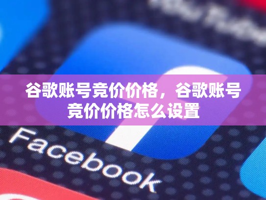 谷歌账号竞价价格,谷歌账号竞价价格怎么设置