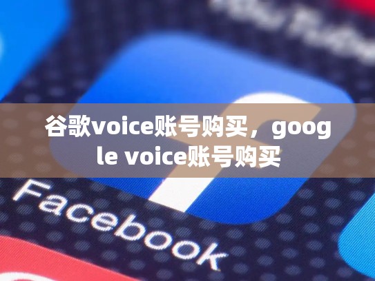 谷歌voice账号购买，google voice账号购买