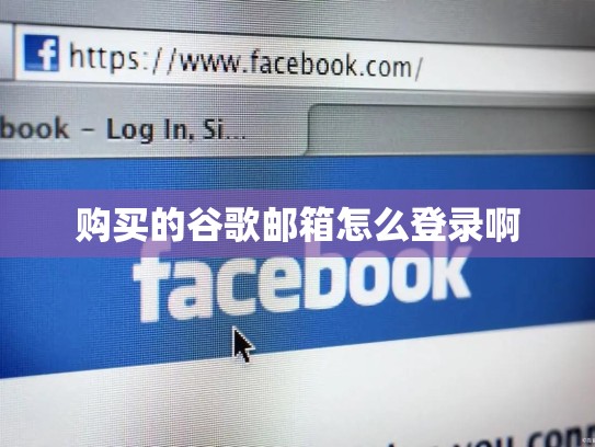 购买的谷歌邮箱怎么登录啊