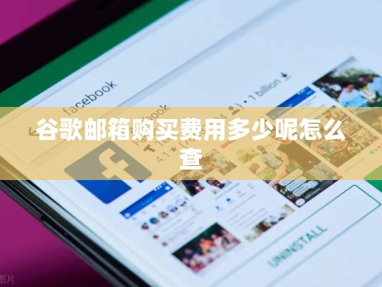 谷歌邮箱购买费用多少呢怎么查