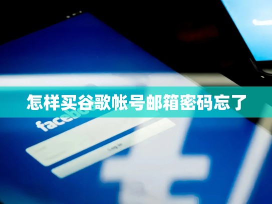 怎样买谷歌帐号邮箱密码忘了