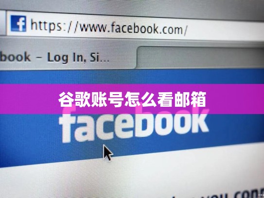 谷歌账号怎么看邮箱