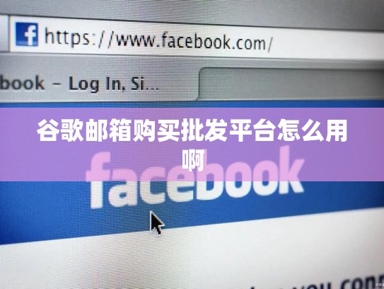 谷歌邮箱购买批发平台怎么用啊