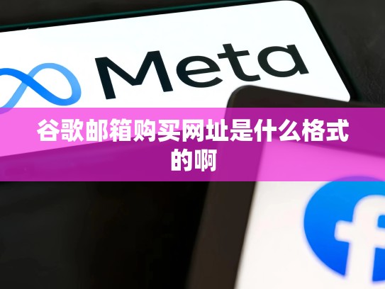 谷歌邮箱购买网址是什么格式的啊